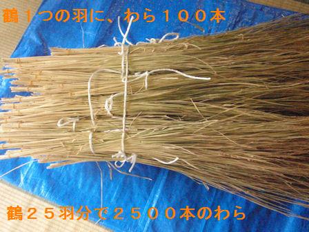 f:id:chuumeikun:20191207194345j:plain f:id:chuumeikun:20191207194345j:plain