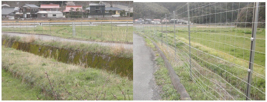 f:id:chuumeikun:20200322193726j:plain