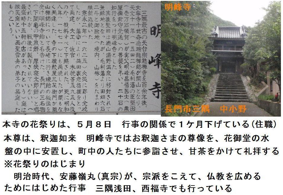 f:id:chuumeikun:20200428201133j:plain