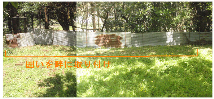 f:id:chuumeikun:20200428201946j:plain