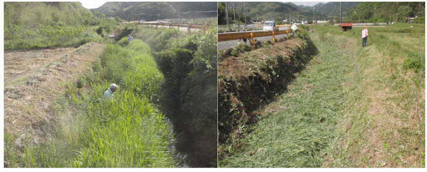 f:id:chuumeikun:20200525111710j:plain f:id:chuumeikun:20200525111710j:plain