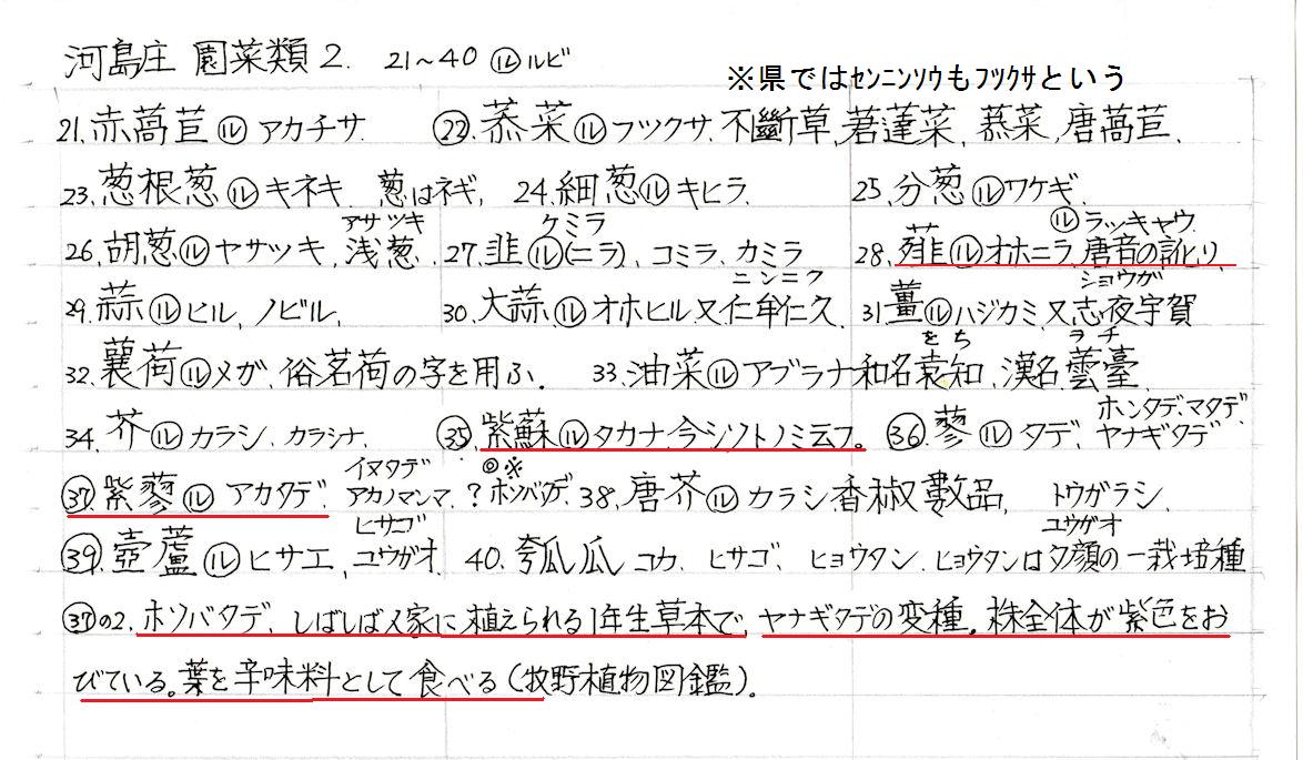 f:id:chuumeikun:20200526070514j:plain