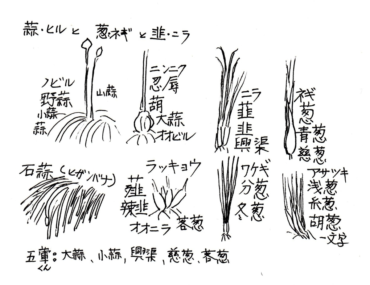 f:id:chuumeikun:20200526070606j:plain