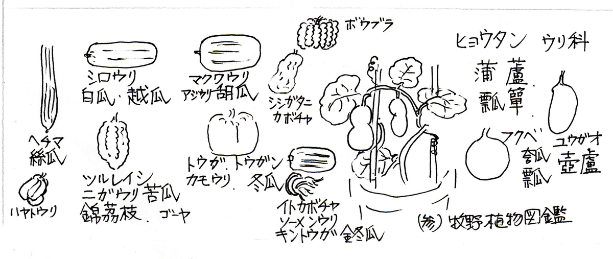f:id:chuumeikun:20200526070643j:plain
