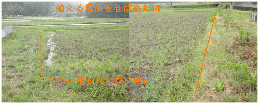 f:id:chuumeikun:20200627170744j:plain f:id:chuumeikun:20200627170744j:plain