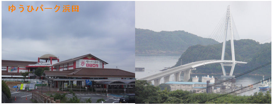 f:id:chuumeikun:20200720184352j:plain