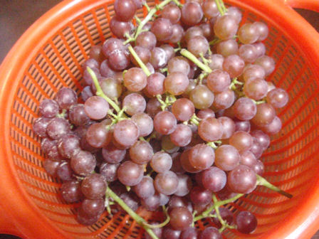 f:id:chuumeikun:20200813185647j:plain f:id:chuumeikun:20200813185647j:plain