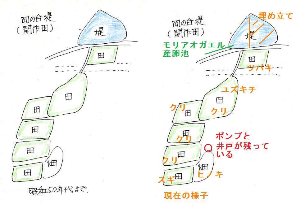 f:id:chuumeikun:20200818204910j:plain f:id:chuumeikun:20200818204910j:plain