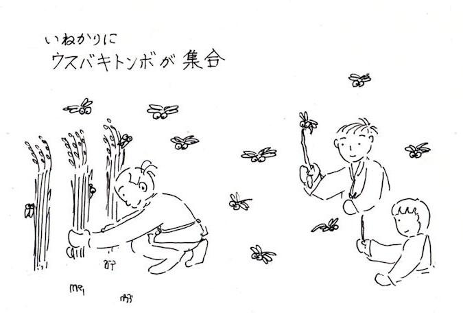 f:id:chuumeikun:20200828205350j:plain