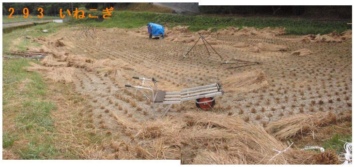 f:id:chuumeikun:20200904201338j:plain