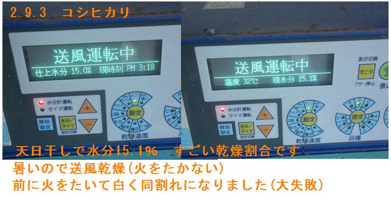 f:id:chuumeikun:20200904201527j:plain