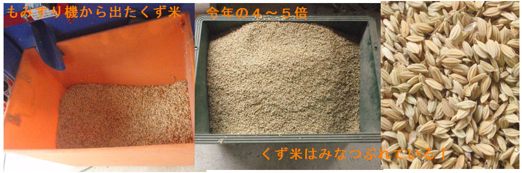 f:id:chuumeikun:20200904202226j:plain