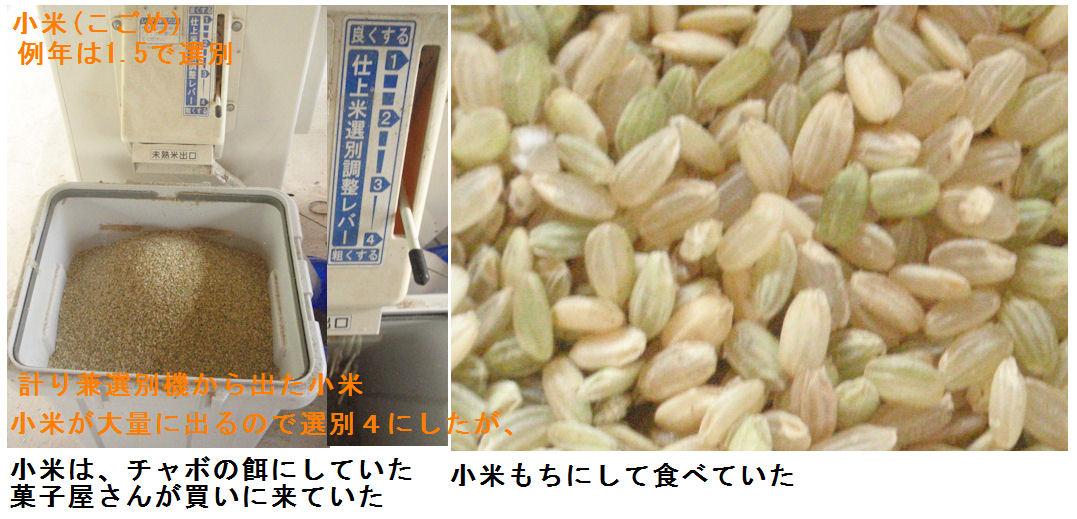 f:id:chuumeikun:20200904202418j:plain