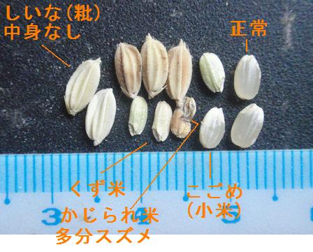 f:id:chuumeikun:20200904202609j:plain