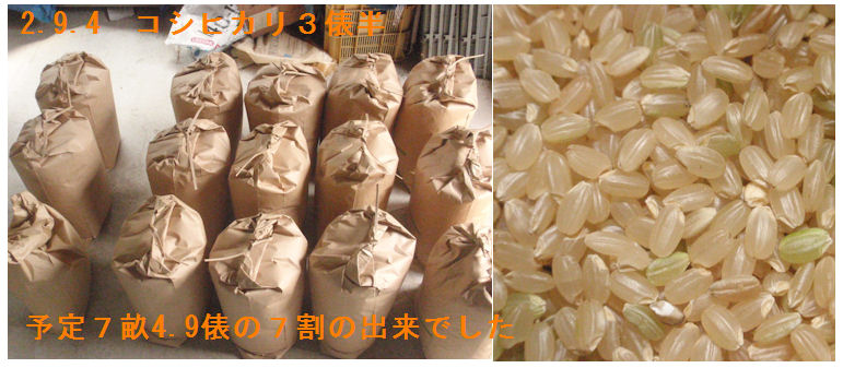 f:id:chuumeikun:20200904202732j:plain