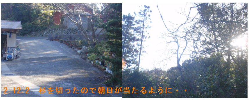 f:id:chuumeikun:20201202191807j:plain