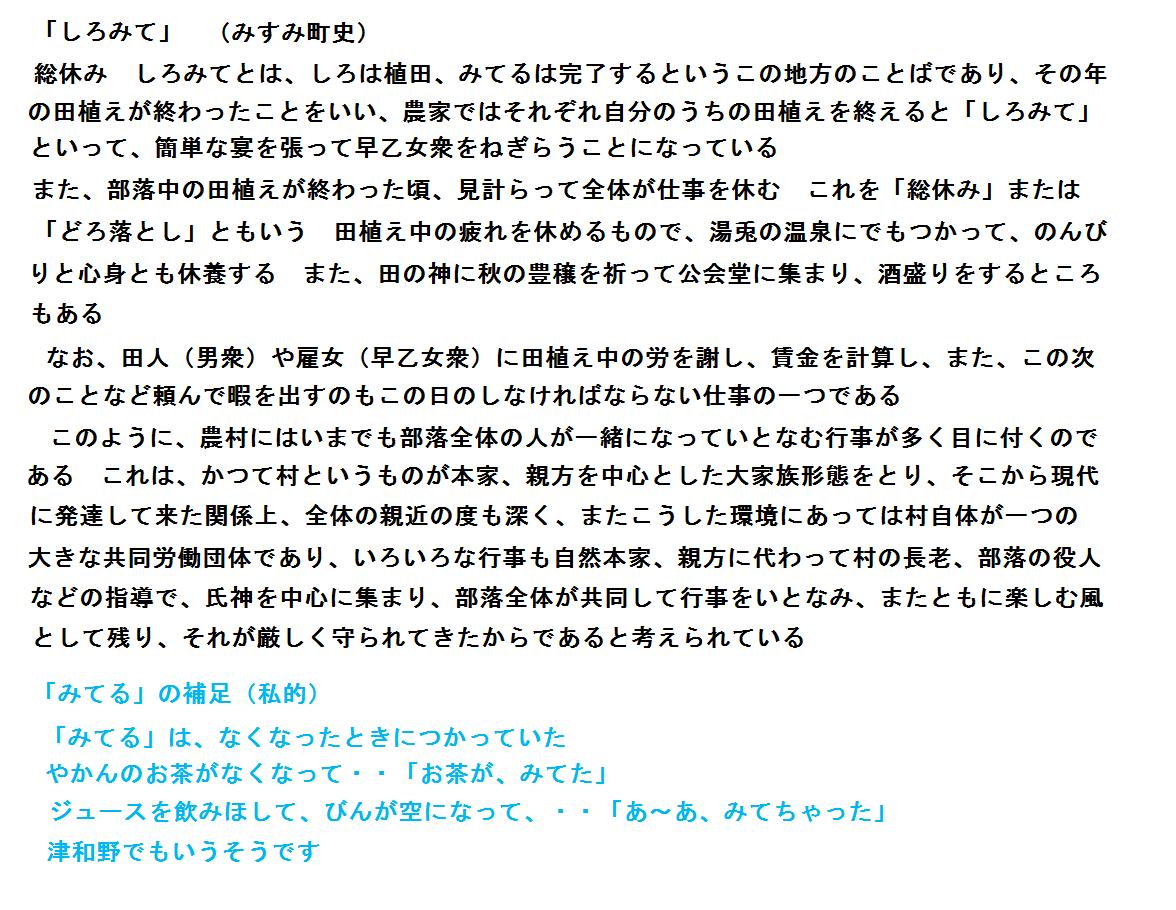 f:id:chuumeikun:20201203181544j:plain