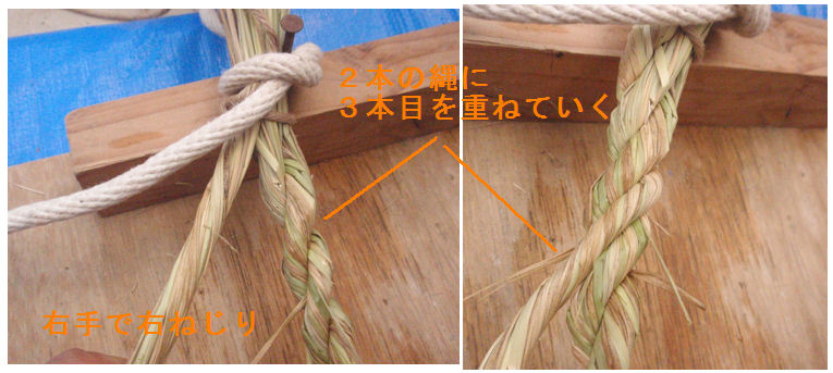 f:id:chuumeikun:20201203181653j:plain