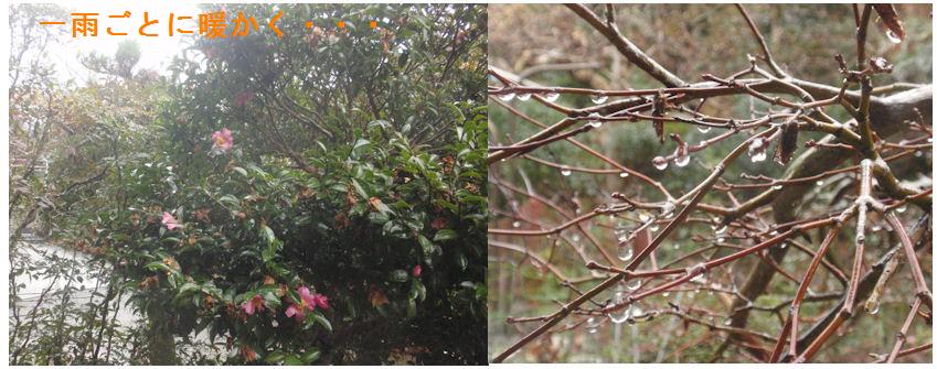 f:id:chuumeikun:20210127115955j:plain