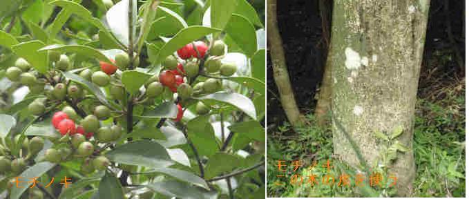 f:id:chuumeikun:20210316125038j:plain