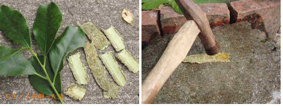 f:id:chuumeikun:20210316125053j:plain