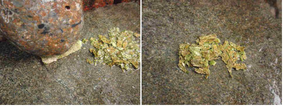 f:id:chuumeikun:20210316125113j:plain