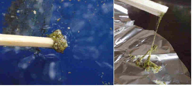 f:id:chuumeikun:20210316125147j:plain