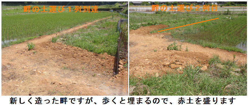 f:id:chuumeikun:20210609182639j:plain