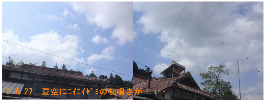 f:id:chuumeikun:20210627171953j:plain