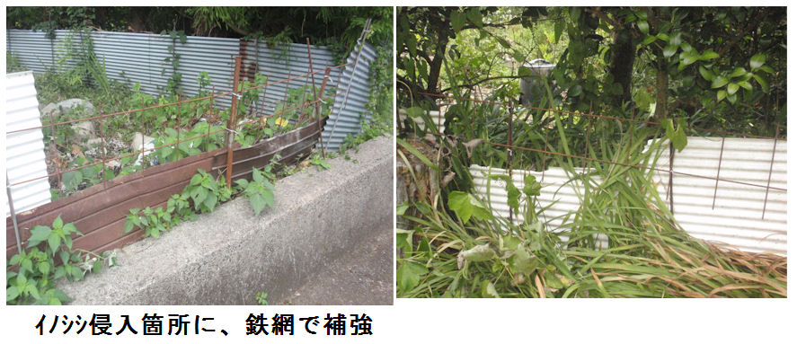 f:id:chuumeikun:20210803215728j:plain