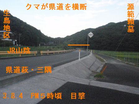 f:id:chuumeikun:20210804194228j:plain