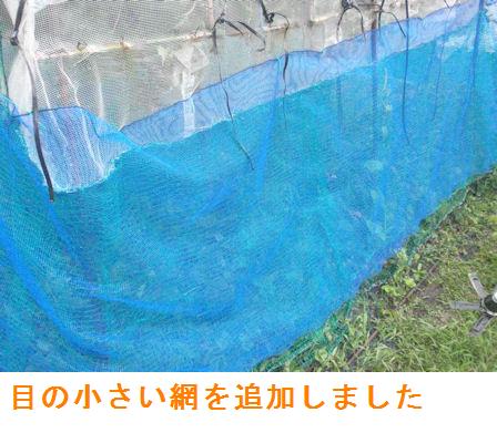 f:id:chuumeikun:20210817192046j:plain