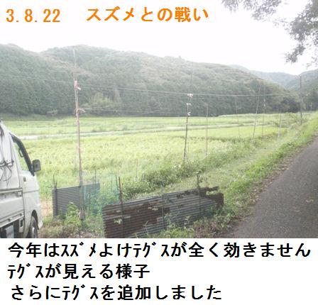 f:id:chuumeikun:20210822112206j:plain