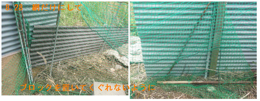 f:id:chuumeikun:20210828162245j:plain