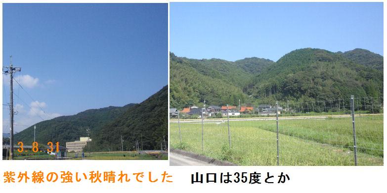 f:id:chuumeikun:20210831193948j:plain