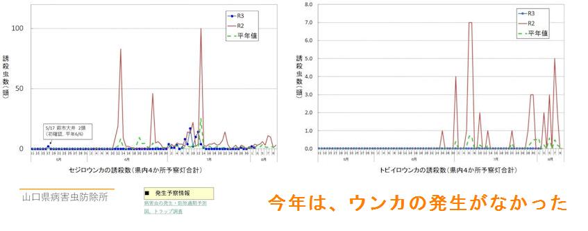 f:id:chuumeikun:20210831194537j:plain