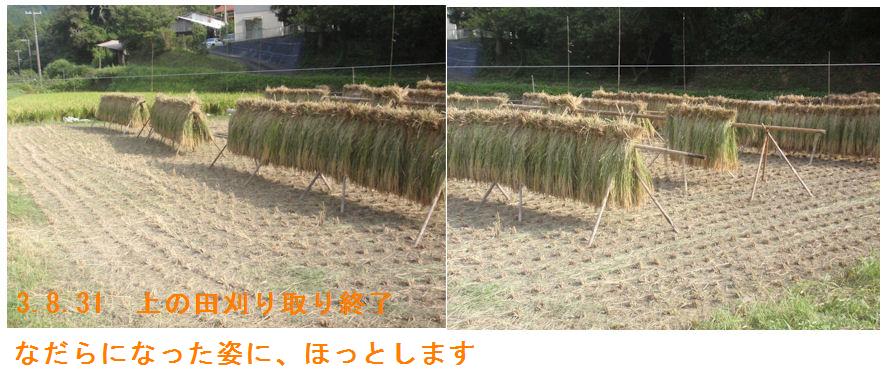 f:id:chuumeikun:20210831194819j:plain