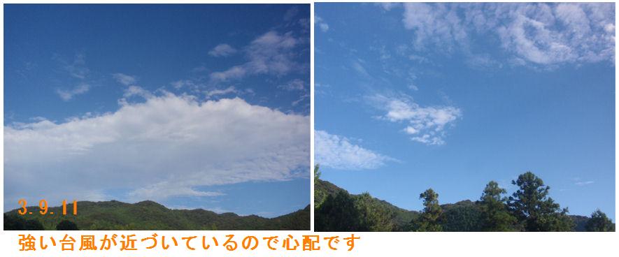 f:id:chuumeikun:20210911115550j:plain