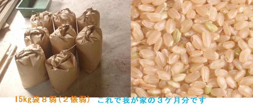 f:id:chuumeikun:20210912064139j:plain