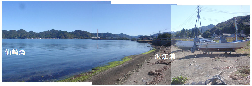 f:id:chuumeikun:20211107155208j:plain