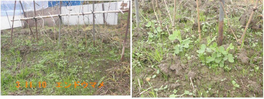 f:id:chuumeikun:20211110193318j:plain