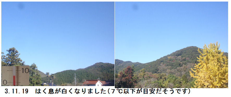 f:id:chuumeikun:20211119125526j:plain