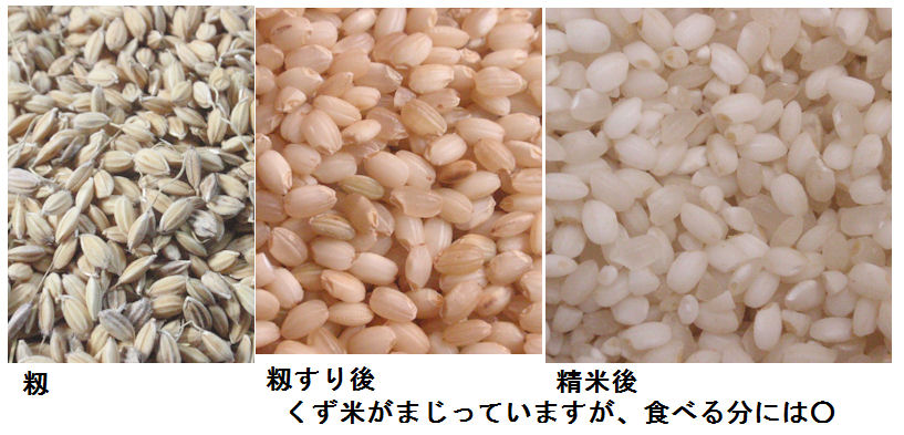 f:id:chuumeikun:20211119130123j:plain