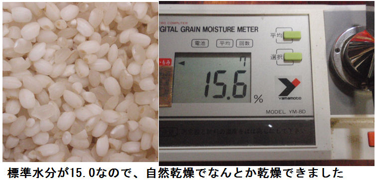 f:id:chuumeikun:20211119130133j:plain