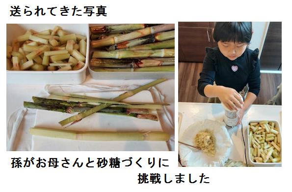 f:id:chuumeikun:20211120193404j:plain