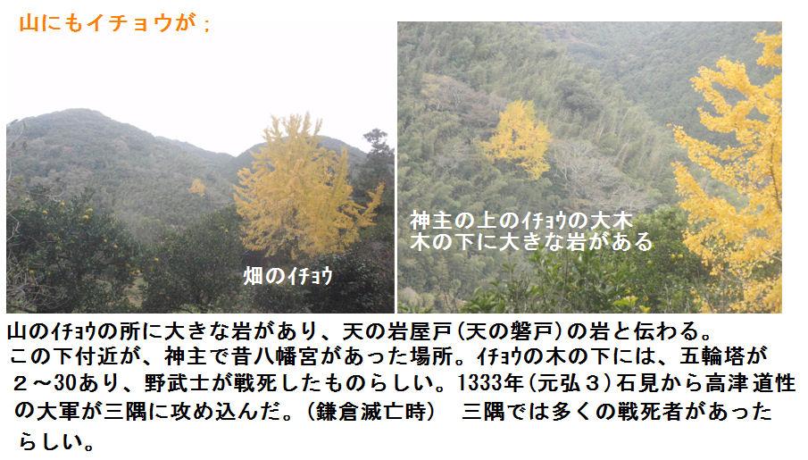 f:id:chuumeikun:20211122073300j:plain