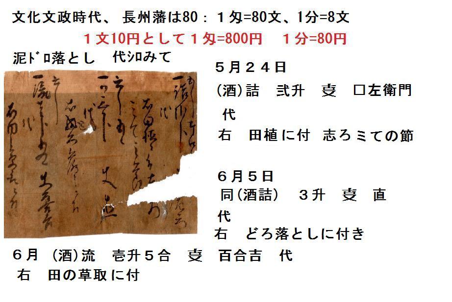 f:id:chuumeikun:20211207073036j:plain