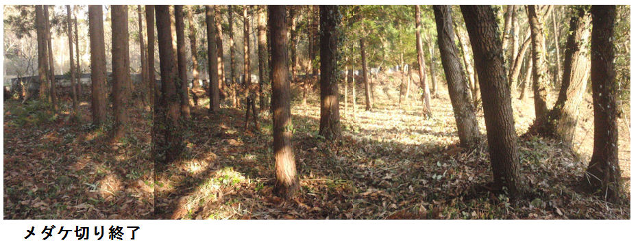 f:id:chuumeikun:20220201130032j:plain