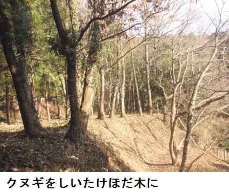 f:id:chuumeikun:20220201130204j:plain