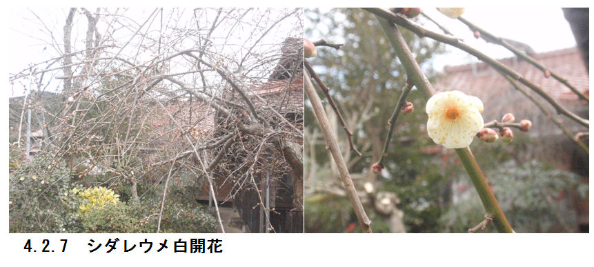 f:id:chuumeikun:20220207142726j:plain